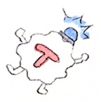 Illustration d'un livre pour enfants sur le coronavirus: Cellule T