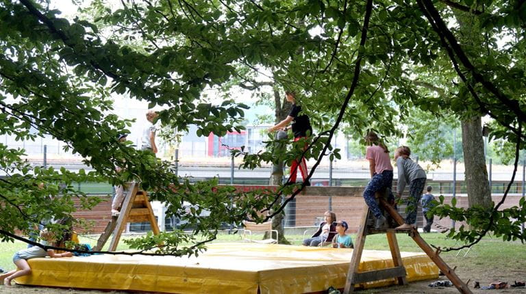 Kids play in park with trees.