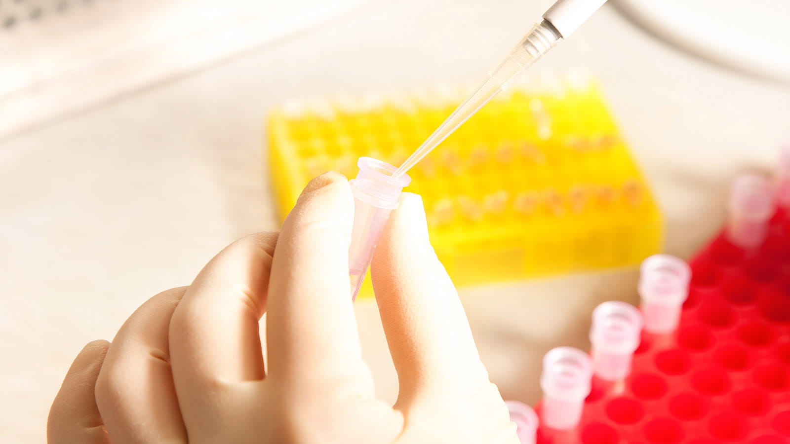 Laborantin spécialité chimie