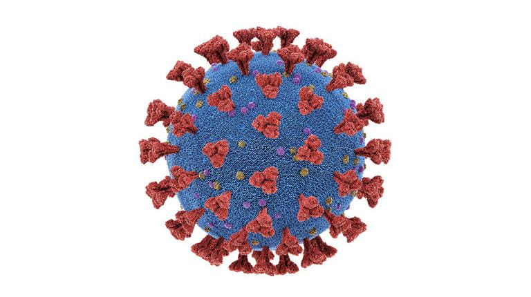Coronavirus auf weissem Hintergrund