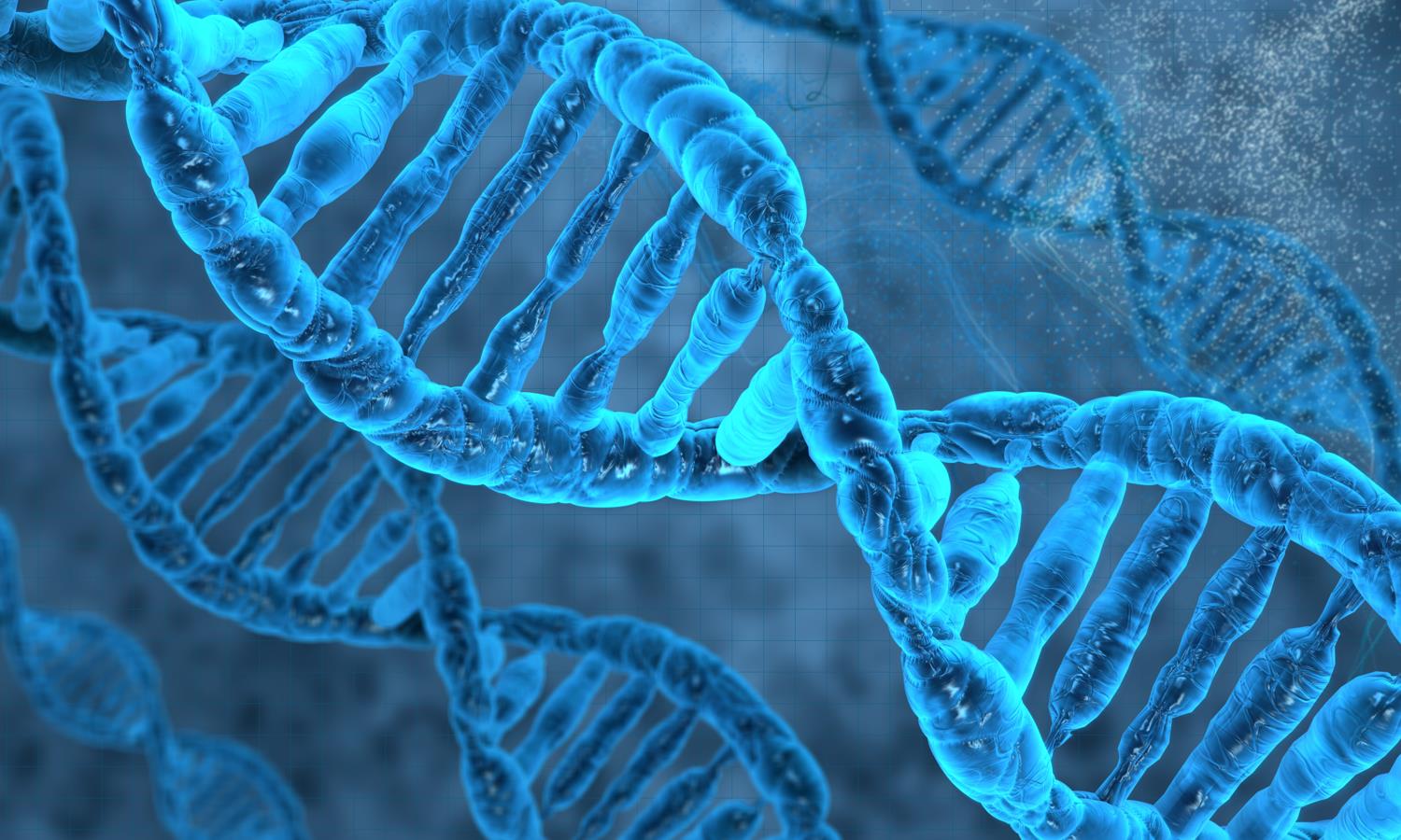 DNA