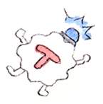 Illustration eines Kinderbuchs über den Coronavirus: eine T-Zelle